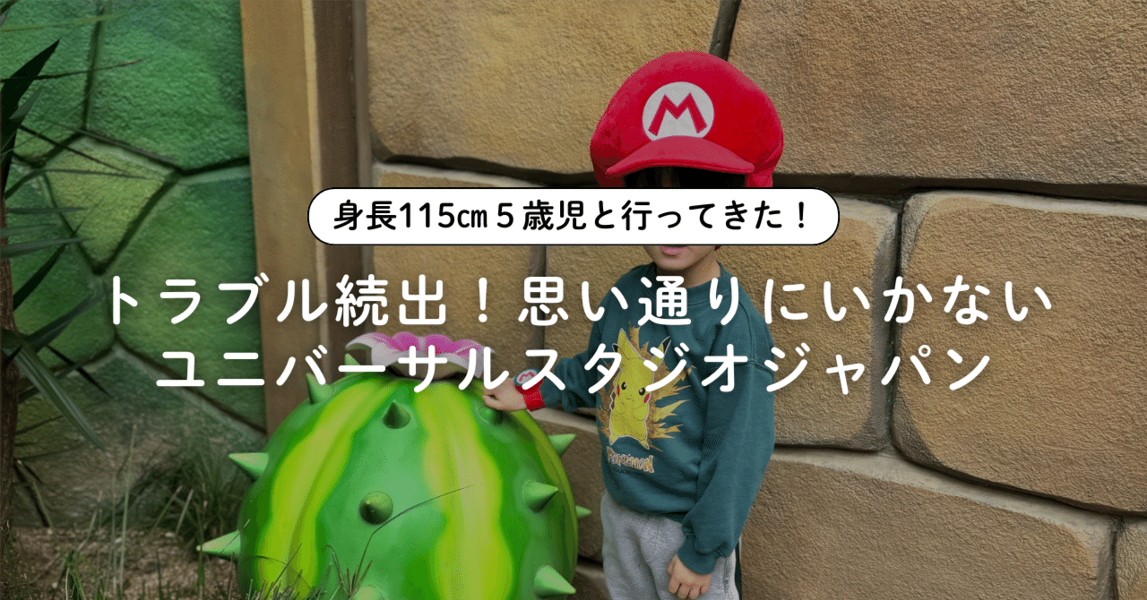 USJ 鎮まり エクスプレスパス 2枚(2ページ以降→ご参考になれば) 