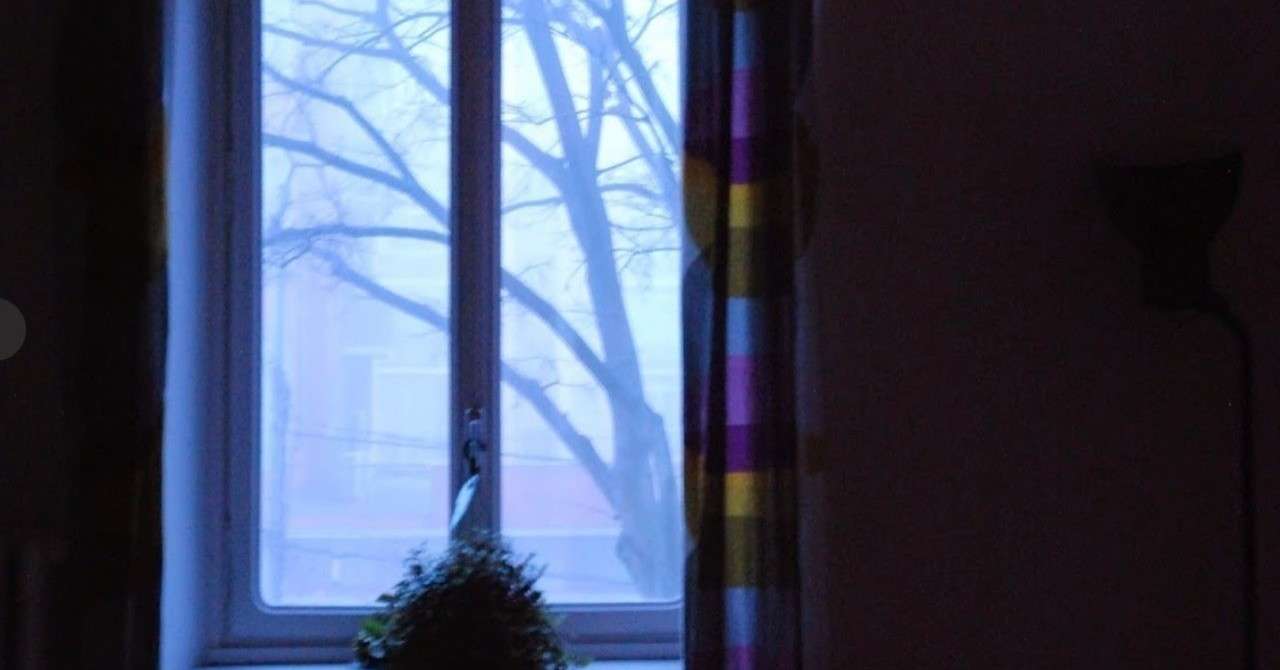 名言との対話 11月27日 エリザベス ヴァイニング 窓が開かれたのは確かである どちらに面しているにせよ 窓というものからは 必ず光がさしこんで来る そして光はよいものだと私は思うのであった 久恒 啓一 Note