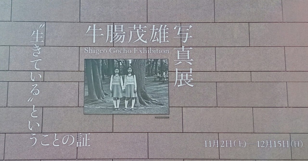 前衛」写真の精神：なんでもないものの変容 瀧口修造・阿部展也