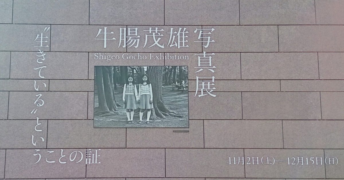 いわき市立美術館「牛腸茂雄写真展 “生きている”ということの証
