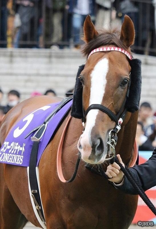 2019年ジャパンカップ スワーヴリチャード 勝利の要因｜JRDB 競馬