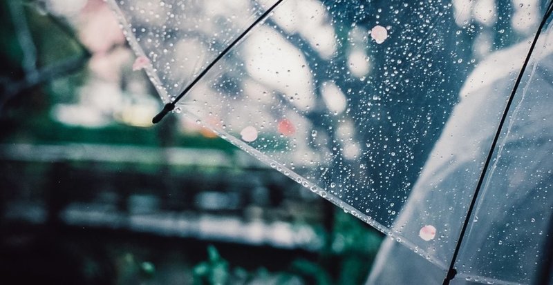 もう一度 雨の朝を好きになった日 長谷川仁美 ライター Note もう一度 雨の朝を好きになった日 長谷川仁美 ライター Note