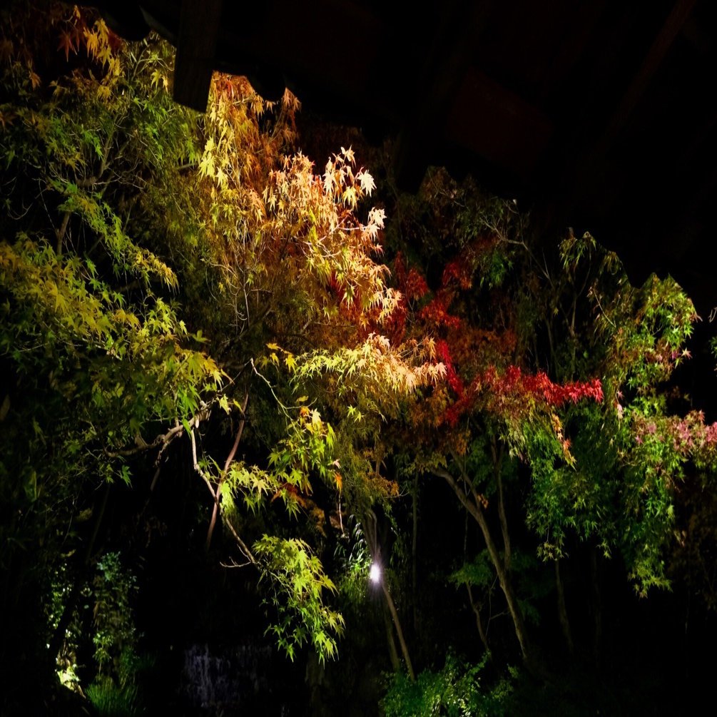 FUJIFILM X-M5 + XC15-45mm F3.5-5.6 OIS PZ レビュー Vol.1 好古園に