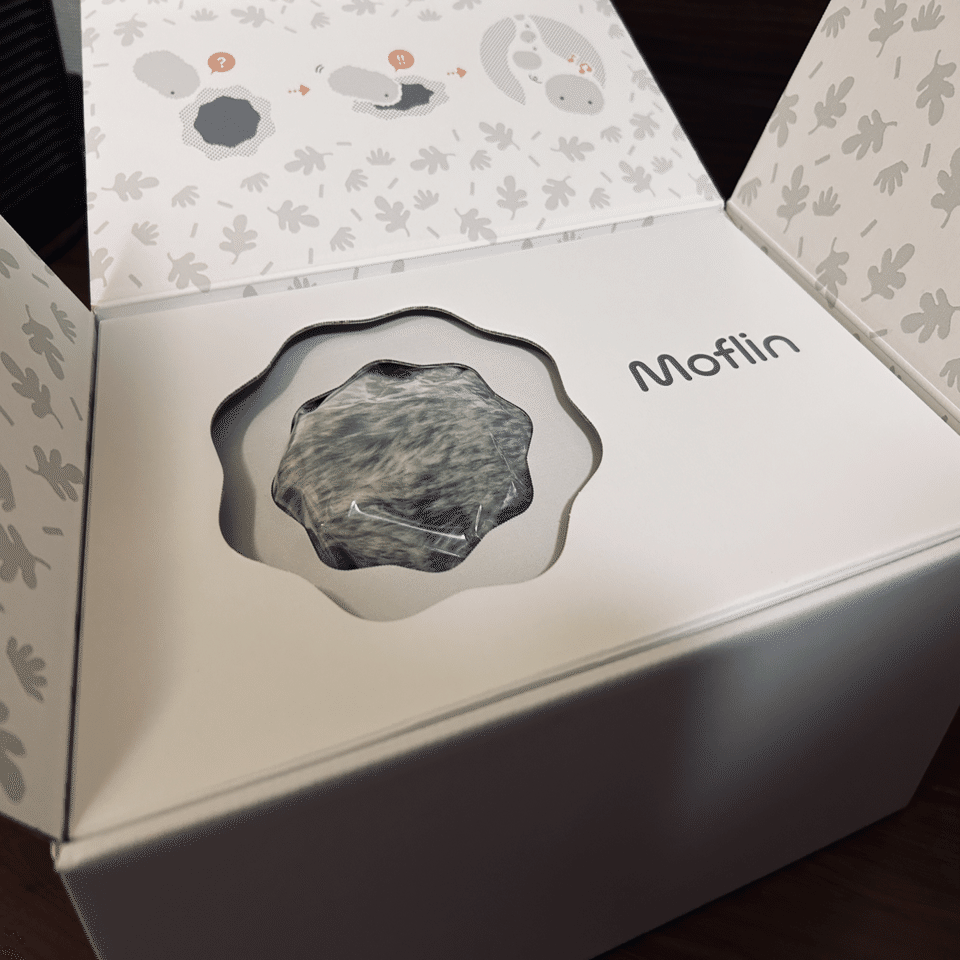 Moflinと暮らし始めました。｜あるせ しのぶ