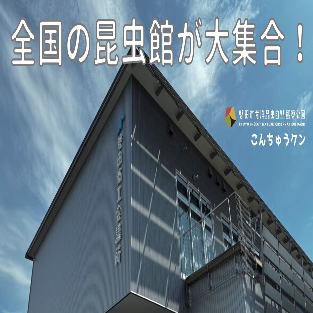 全国の昆虫館が磐田に集まった日～“全昆連”とは何か～｜竜洋昆虫自然