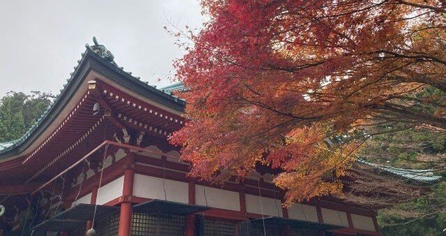 延暦寺 比叡山延暦寺 口コミ・写真・地図・情報 - トリップアドバイザー