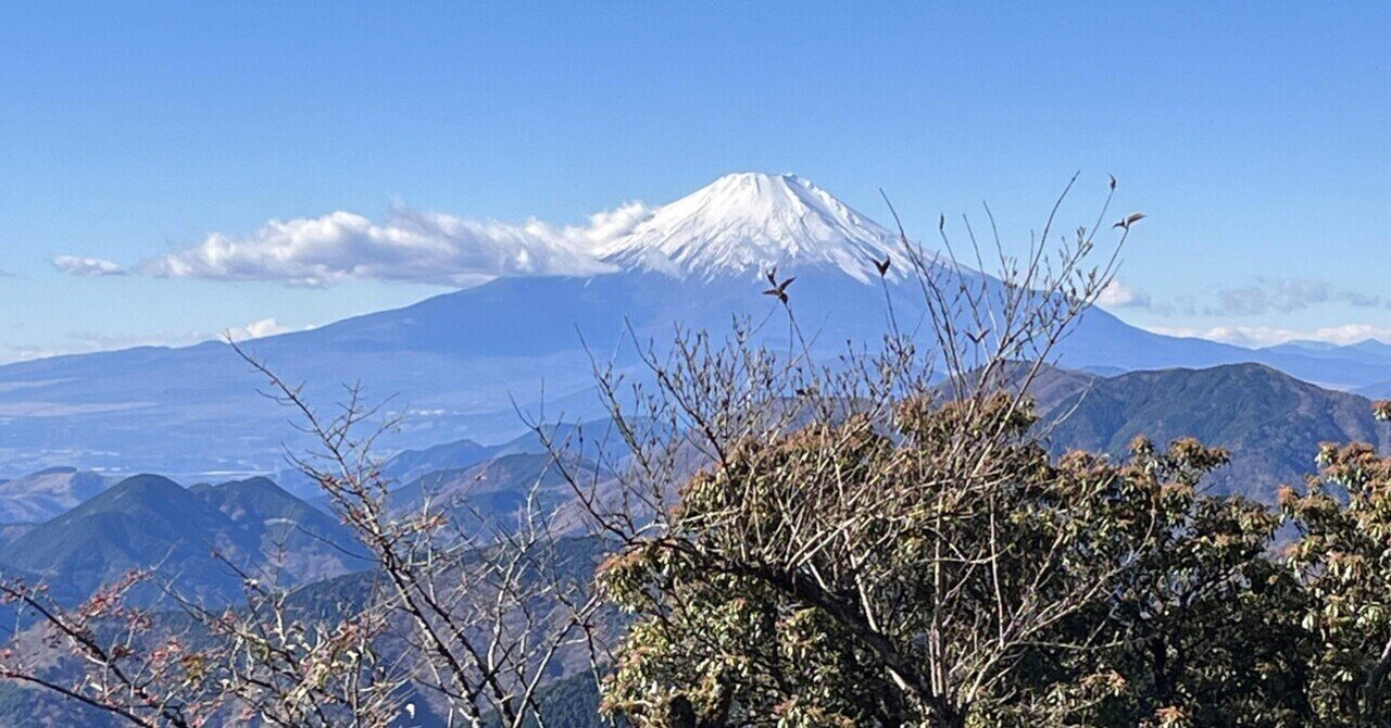 三岳　田倉　薩摩茶屋　ひとり歩き　瀞とろ　GO GOＳＹOＴＹU 三岳 田倉 薩摩茶屋 ひとり歩き 瀞とろ GO GOSYOTYU 焼酎 / 泡盛