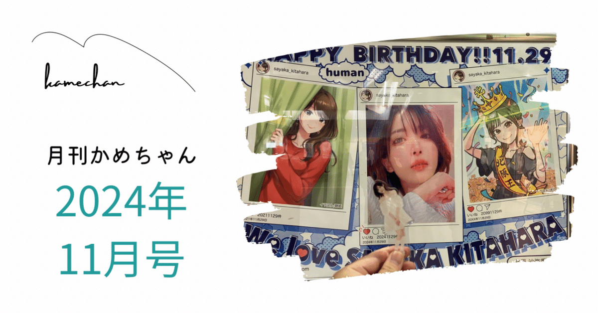 月刊かめちゃん 2024年11月号｜かめちゃん