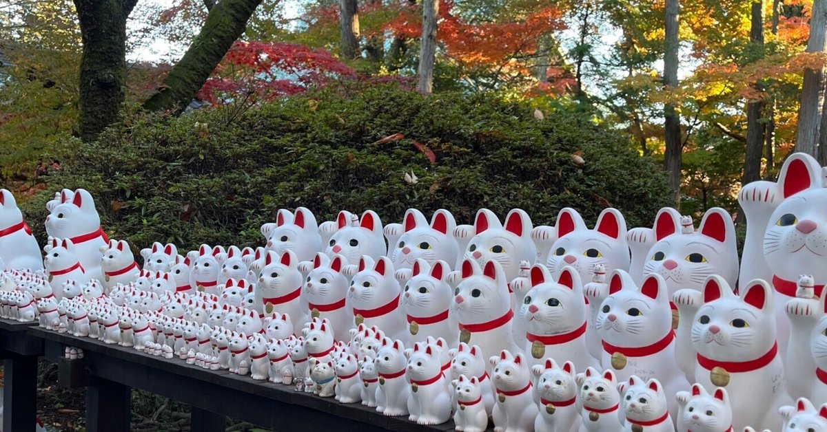 世田谷区【豪徳寺】招き猫と紅葉｜koichigoこいちご