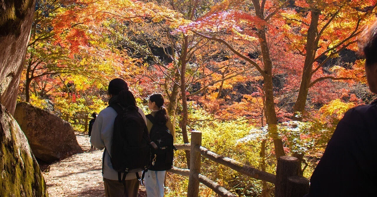 昇 仙 峡 紅葉