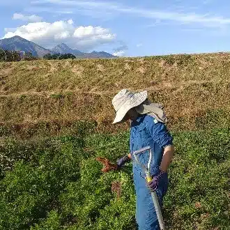 organic farmチュトワ