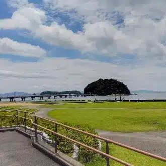 まーらいおん