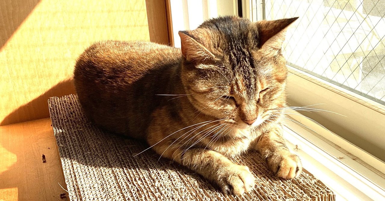 2025年度 愛玩動物飼養管理士 11月試験」4月15日まで申込受付中