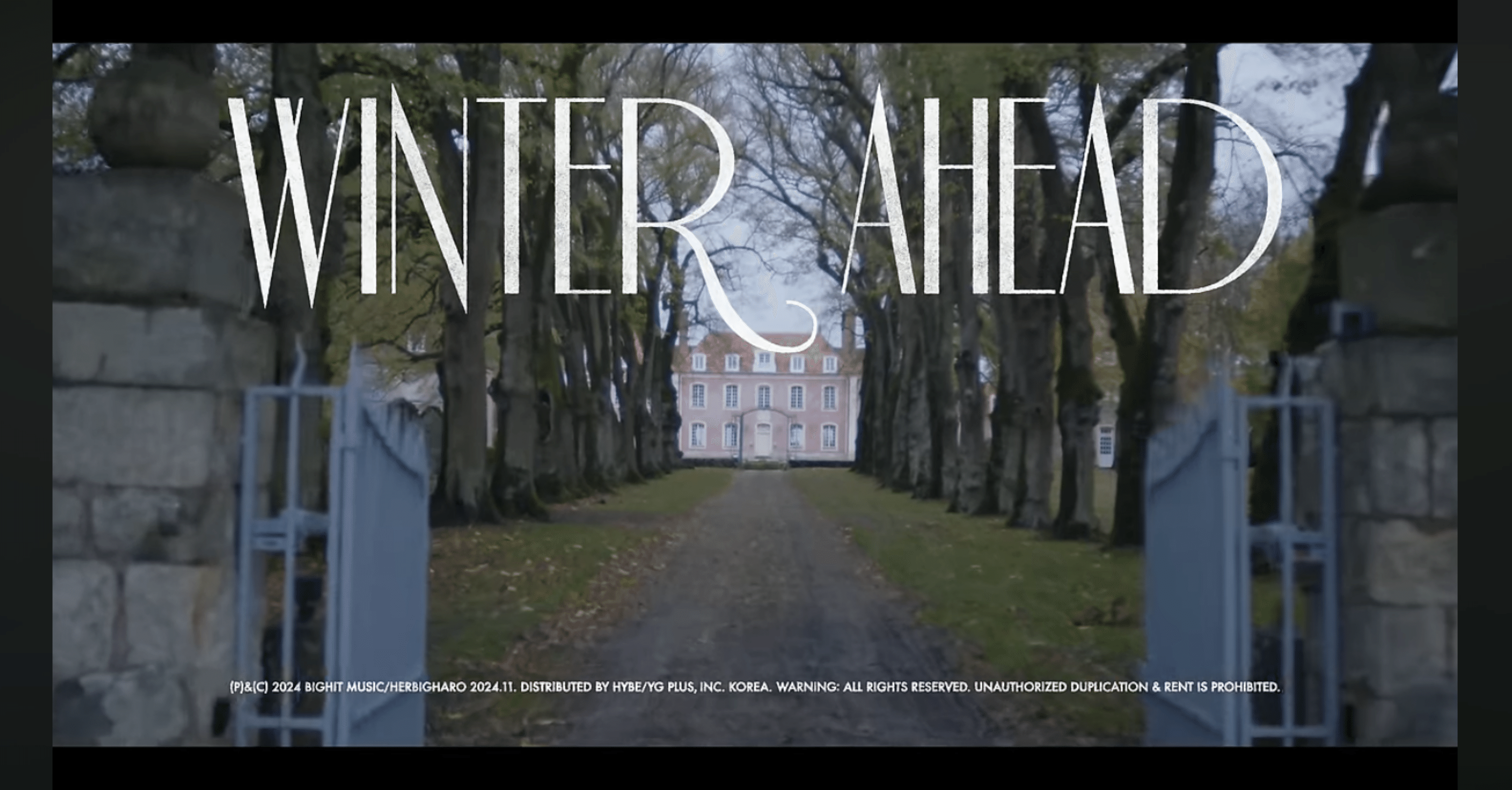 テテの魅力あふれる『Winter Ahead』｜いちごまる