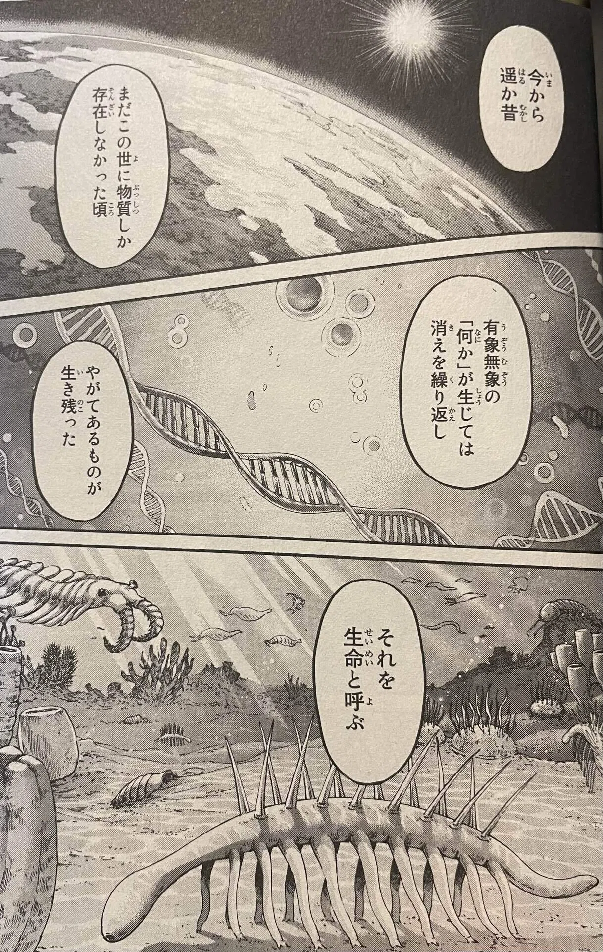 活動歴および当時の関連ビジュアル記録
