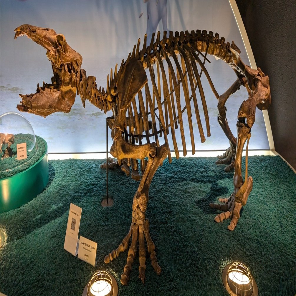 たくさん歩く(瑞浪市化石博物館)#550｜やん（矢野達也）