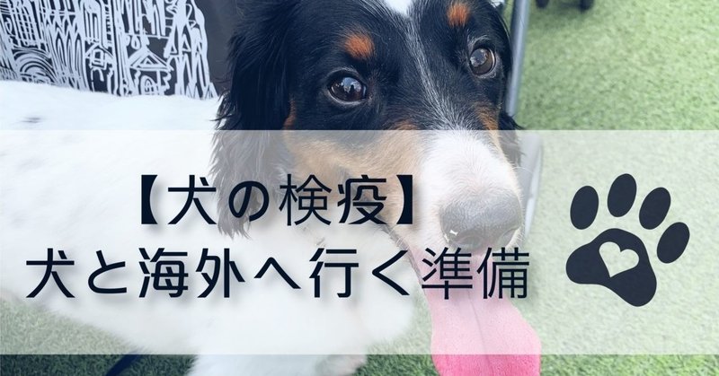 動物検疫 の新着タグ記事一覧 Note つくる つながる とどける