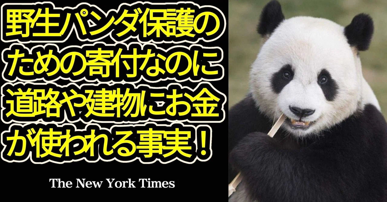 【US Panda Conservation Funds: Donations Continued Despite Knowledge of ...