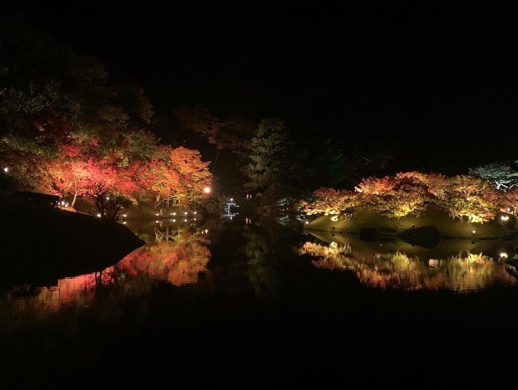 水面上の紅葉