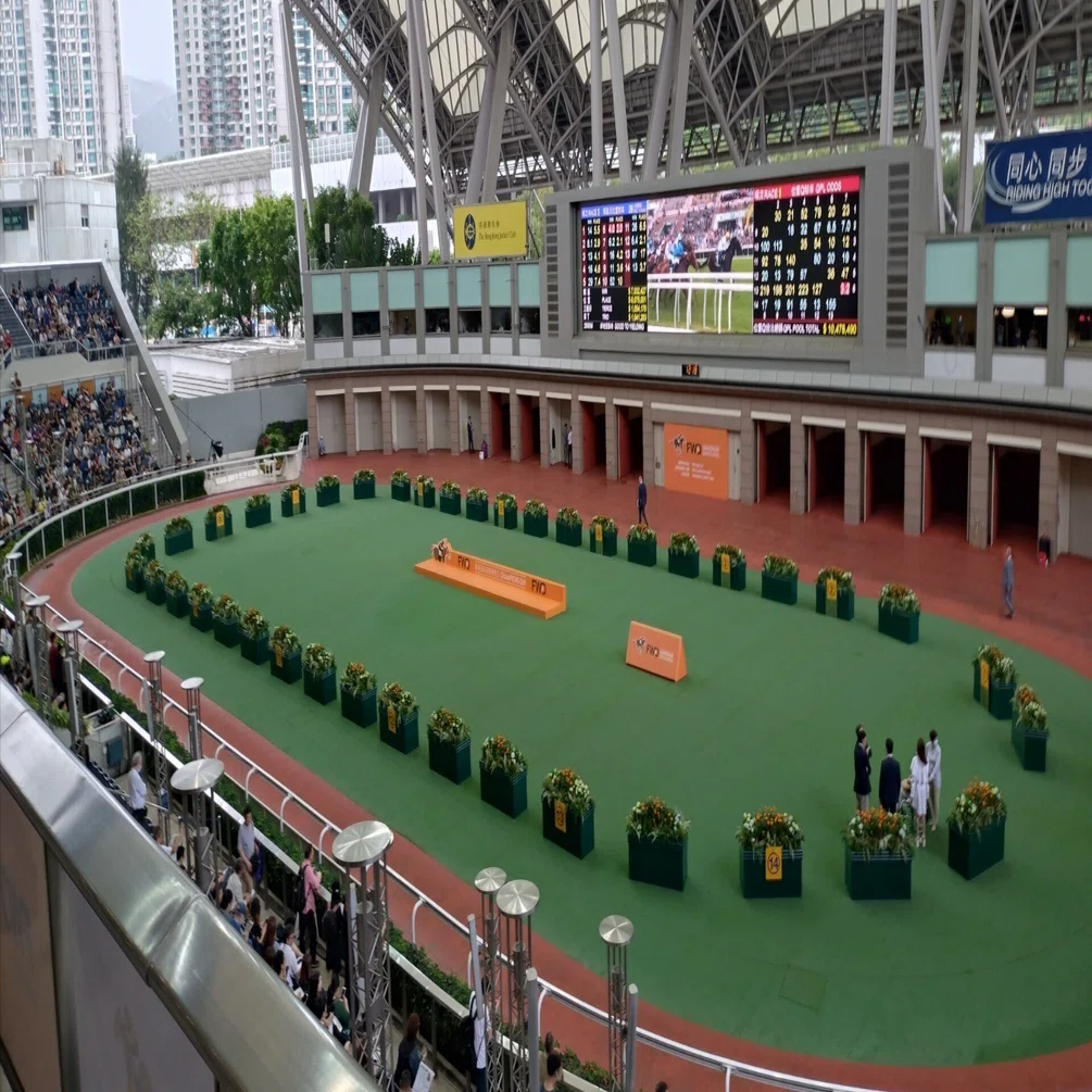 年の瀬ですね、そろそろ今年の香港国際競走出走馬の見解をば｜おけら街道