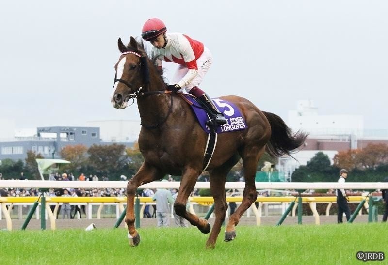 2019年ジャパンカップ スワーヴリチャード 勝利の要因｜JRDB 競馬