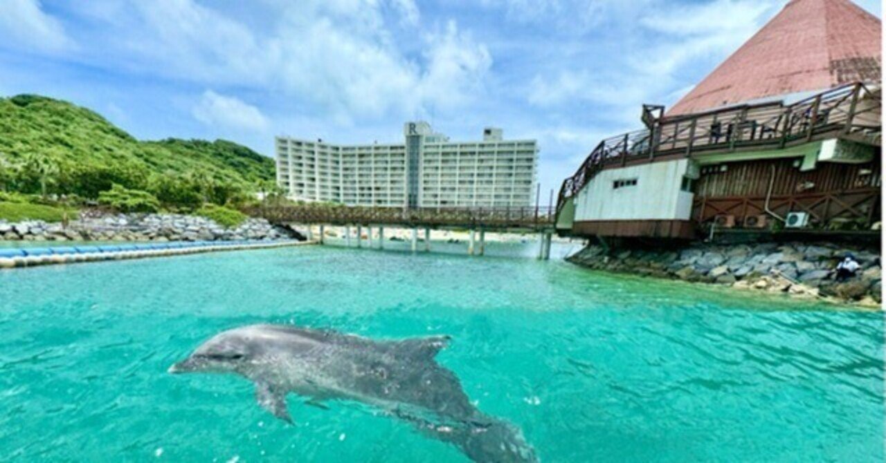 イルカと遊べ、エイと泳げるホテル「ルネッサンスリゾートオキナワ