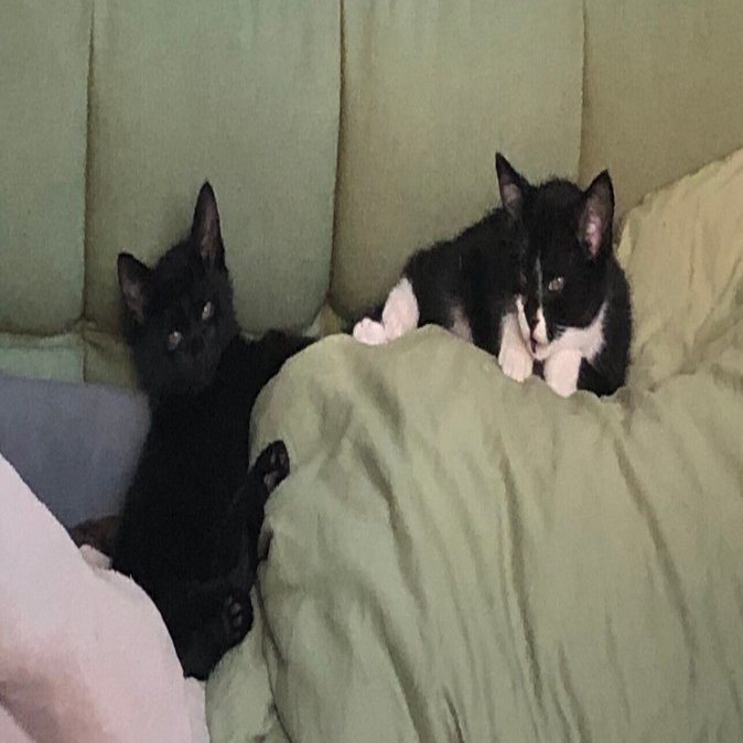 禅の道（40）宝鏡三昧｜念水庵