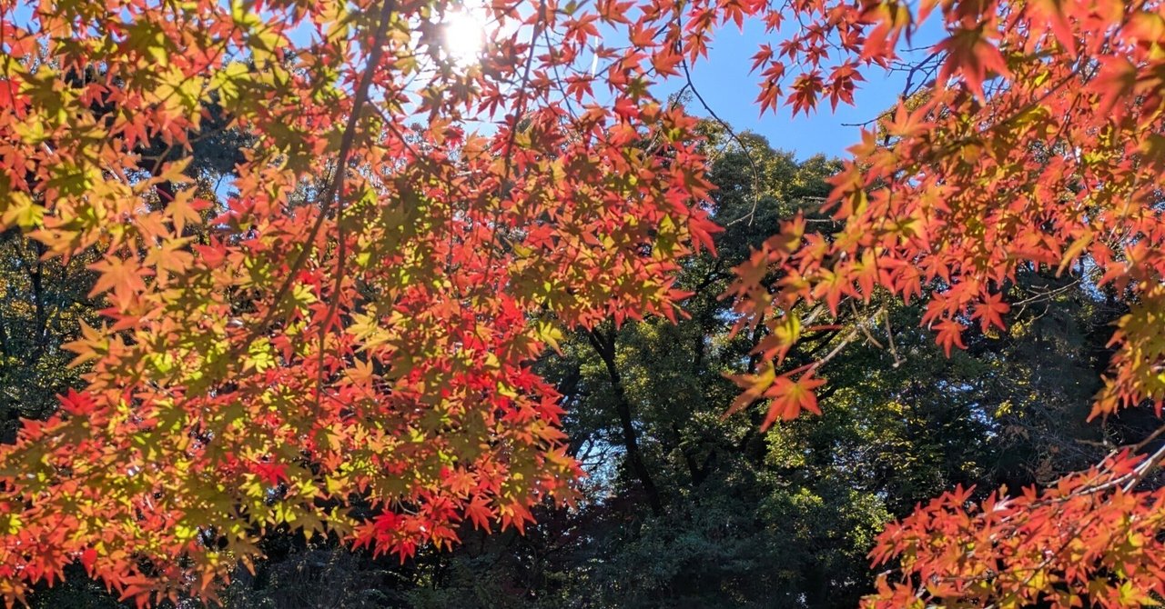 石神井の紅葉と記念庭園｜pakashi89