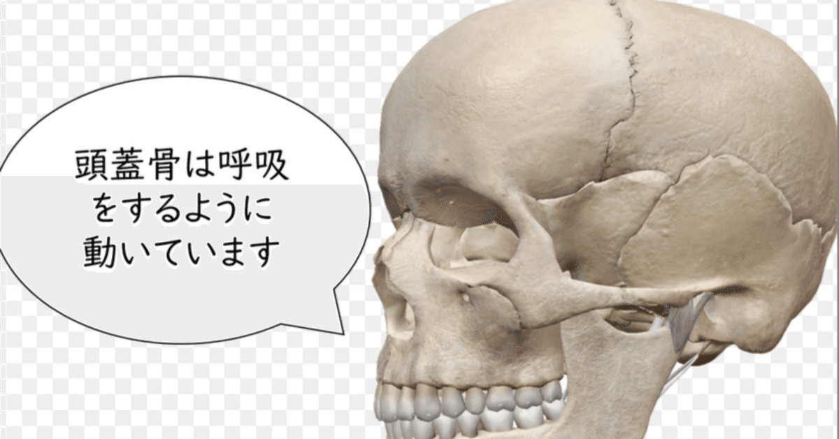 良く分かる！頭蓋仙骨療法 クラニオセイクラル・セラピー入門
