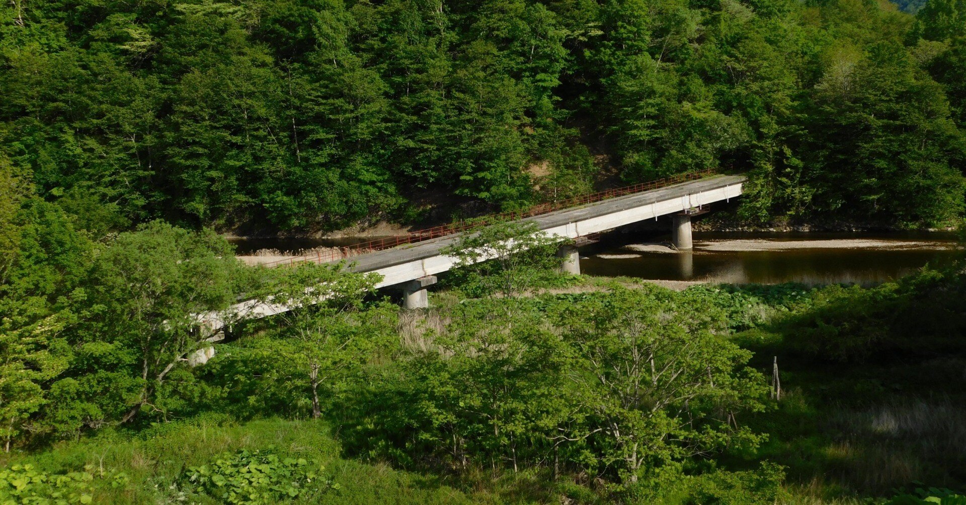 315e7bcd0955ffa5b0bbeb4cb77f86