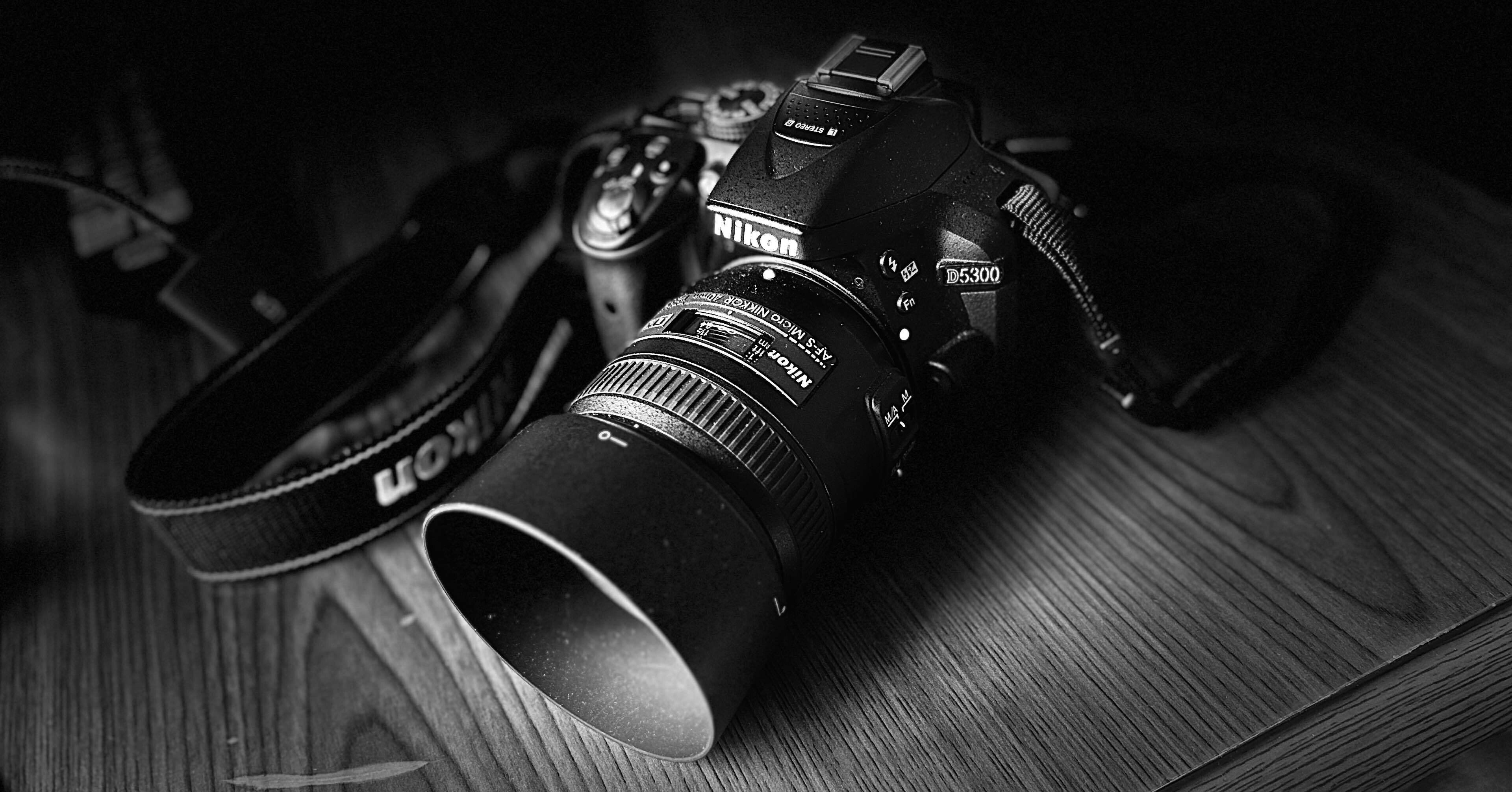 写真散歩〜D5300と40mm単焦点｜SuzukenSambar