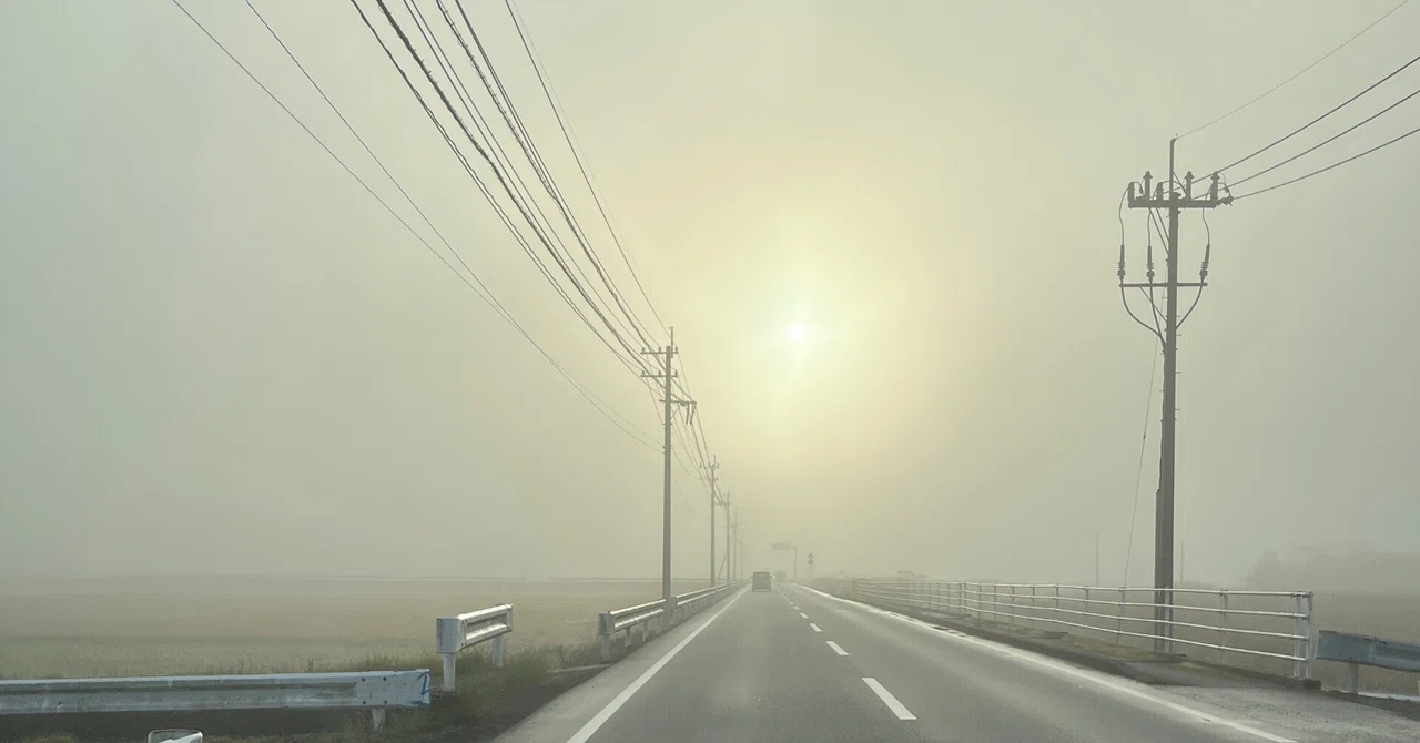 朝靄の晴れて道あり十二月｜白