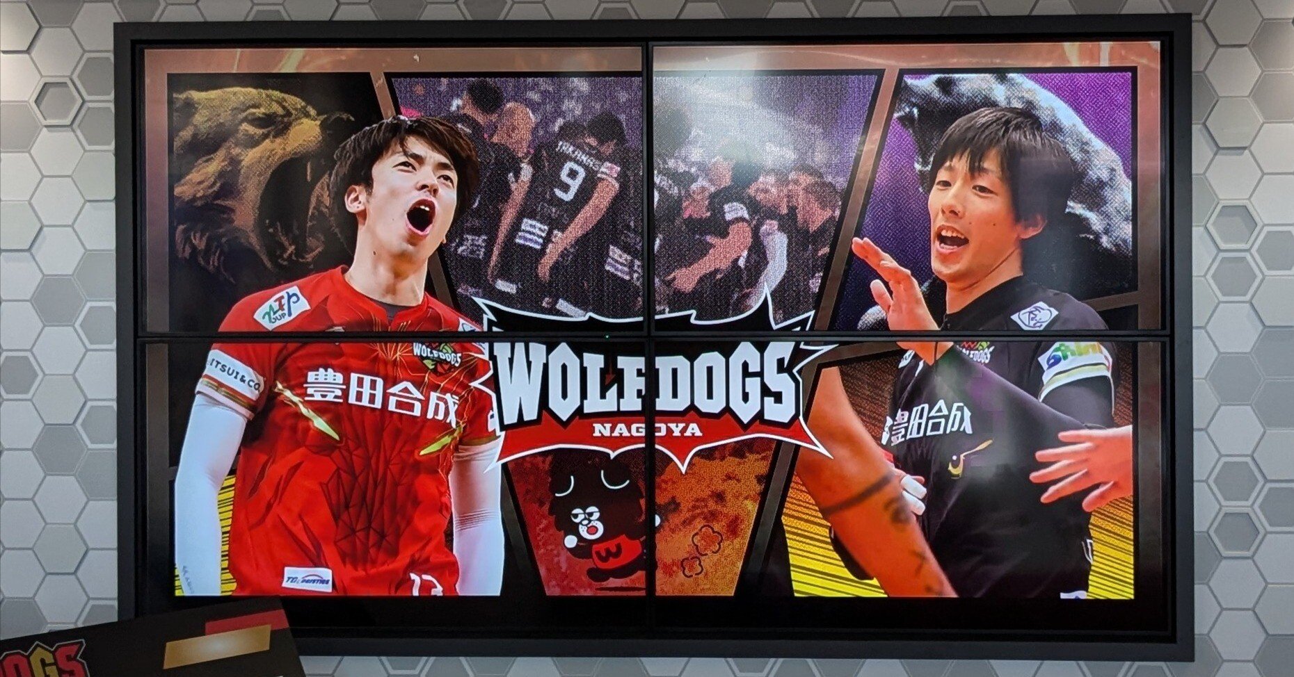 観戦日記】2024/11/30‐12/1 ウルフドッグス名古屋VS東京グレート