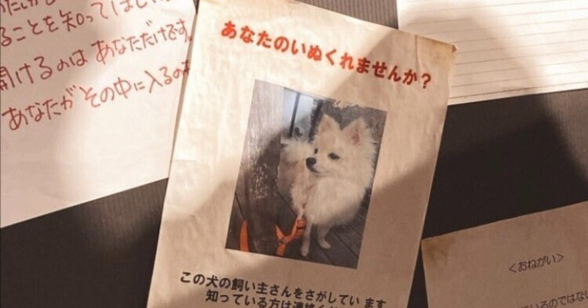 梨5点セット　自由慄　その怪文書を読みましたか　かわいそ笑　ほか2冊 梨5点セット 自由慄 その怪文書を読みましたか かわいそ笑