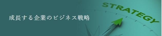 成長する企業のビジネス戦略 画像