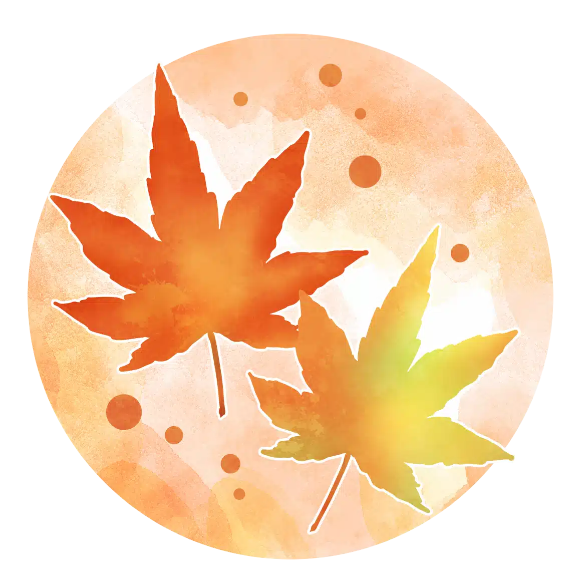 上松もみじ