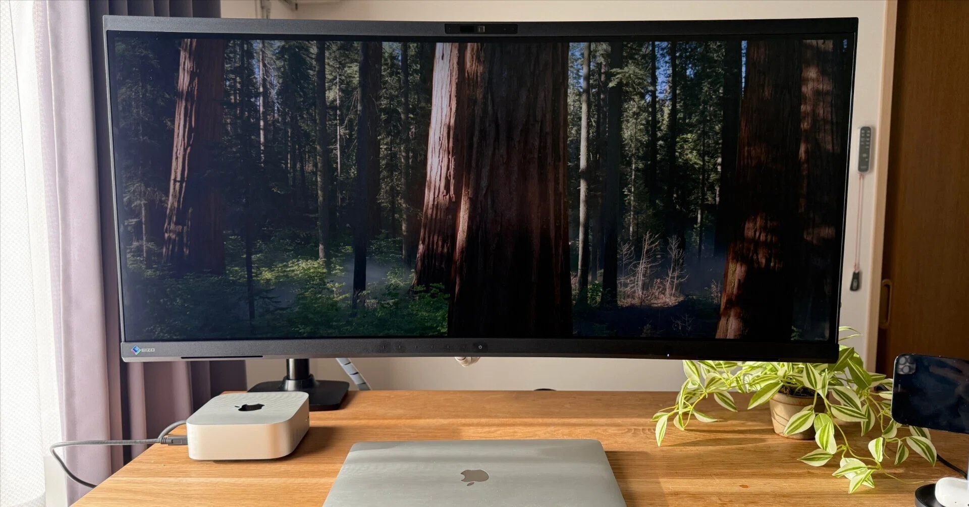 ウルトラワイド・カメラ内蔵な EIZO モニタを導入 (EV3450XC)|PDCA by ウルトラワイド・カメラ内蔵な EIZO モニタを導入 (EV3450XC)|PDCA by