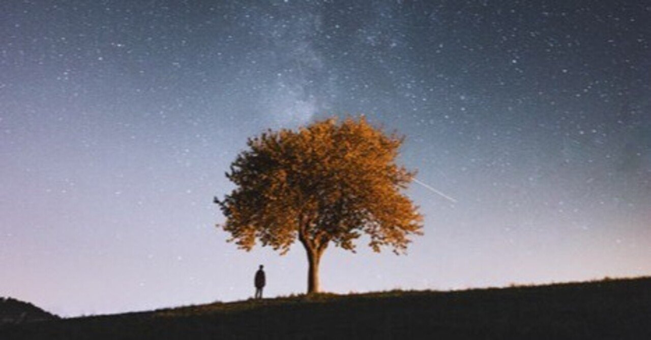 カントの『純粋理性批判』をわかりやすく解説【そもそも理性とは何か？】｜chaco