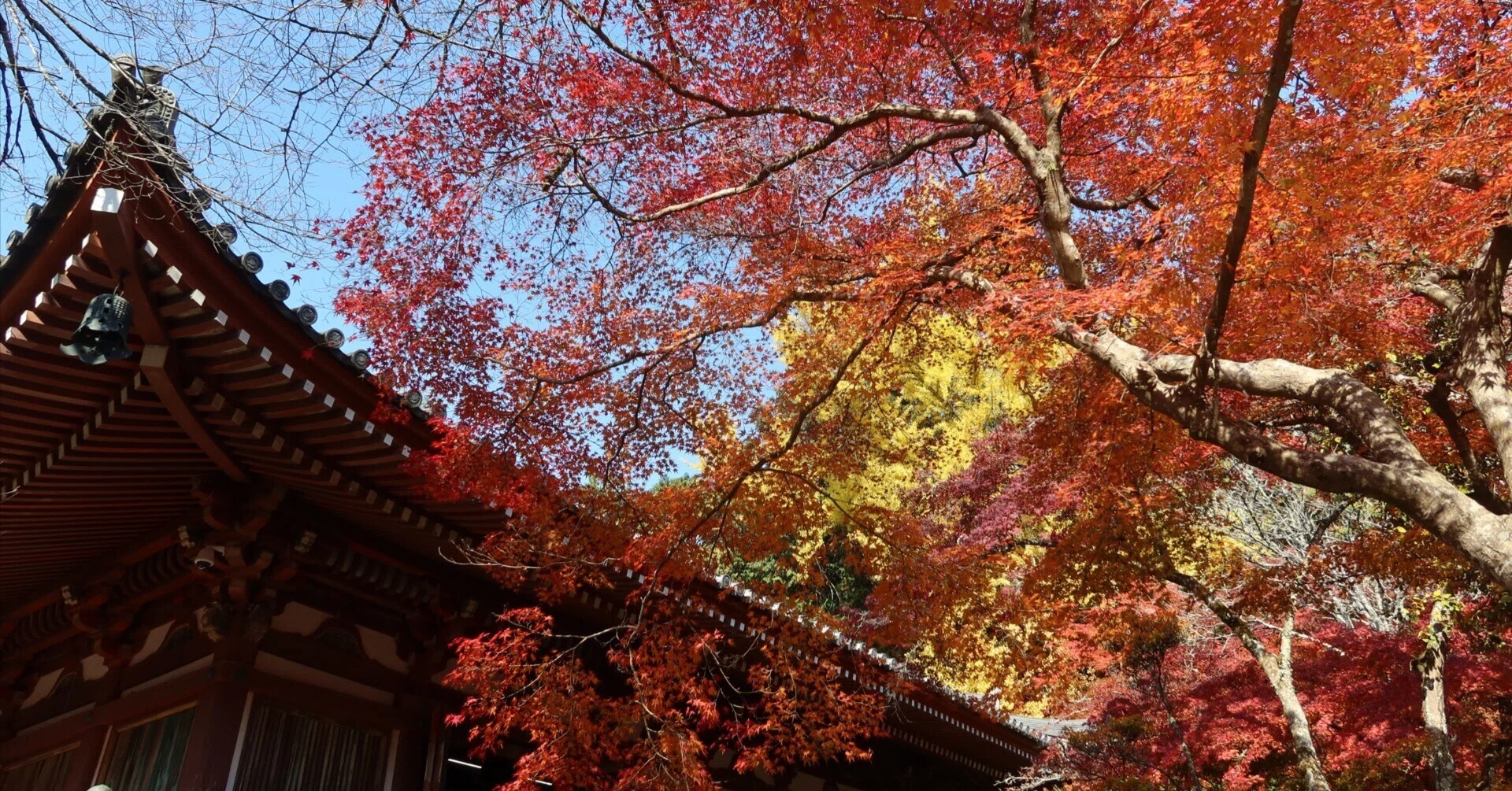 西国三十三所観音巡礼 【 深雪山 上醍醐 准胝堂 （醍醐寺）】京都