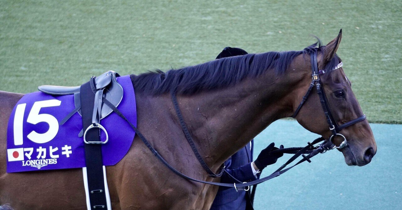 必読‼︎ 競走馬 ブロンズ 馬 渡辺環水作