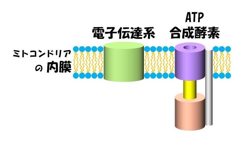 002_前回の図