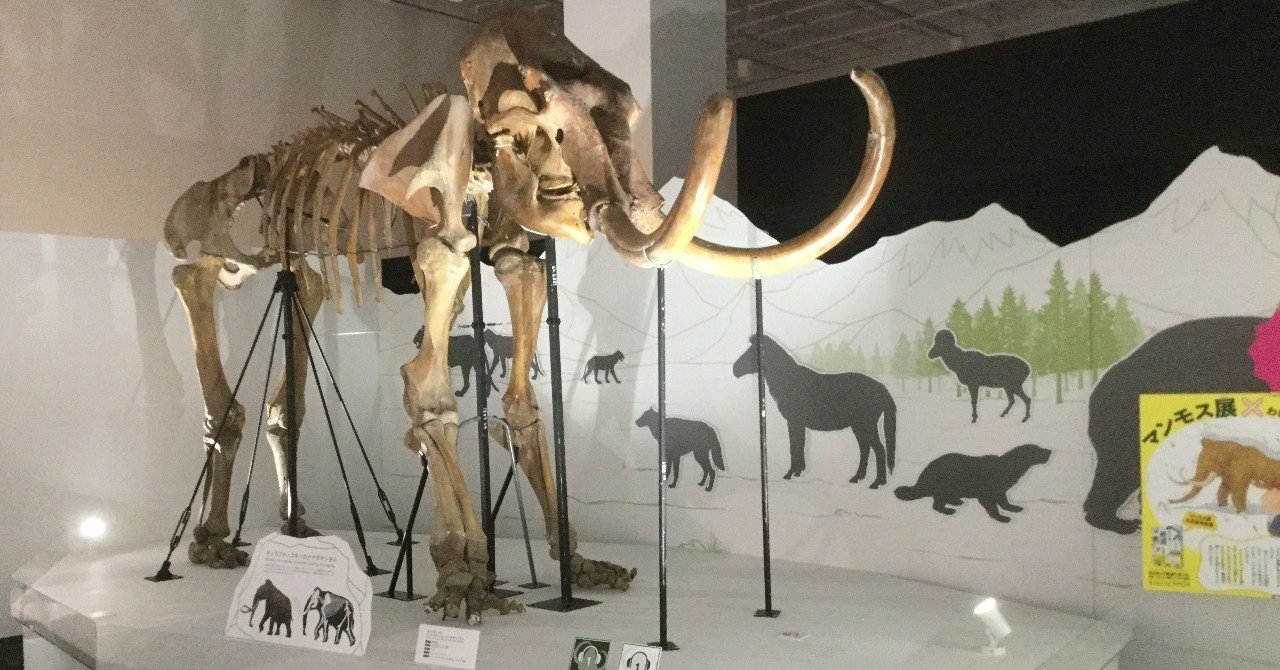 マンモスの肉はまずいらしい。｜夜代一奇