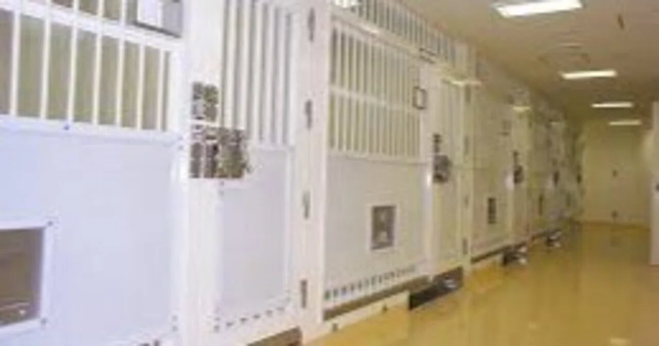 刑務所の間典ࢹf�