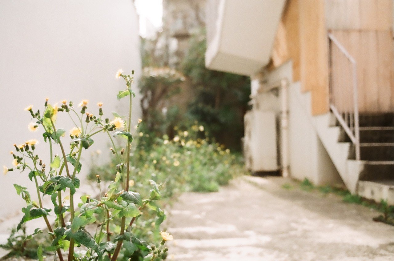 Ihagee Exa500 - フィルムカメラレビュー｜Hisa Foto