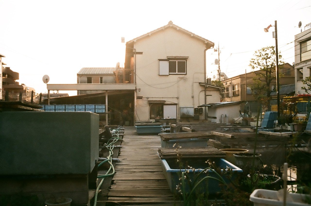 Ihagee Exa500 - フィルムカメラレビュー｜Hisa Foto