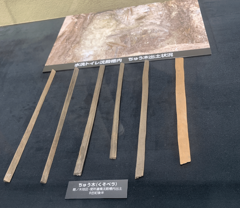 古代一豪華な水洗トイレへようこそ｜くるみ