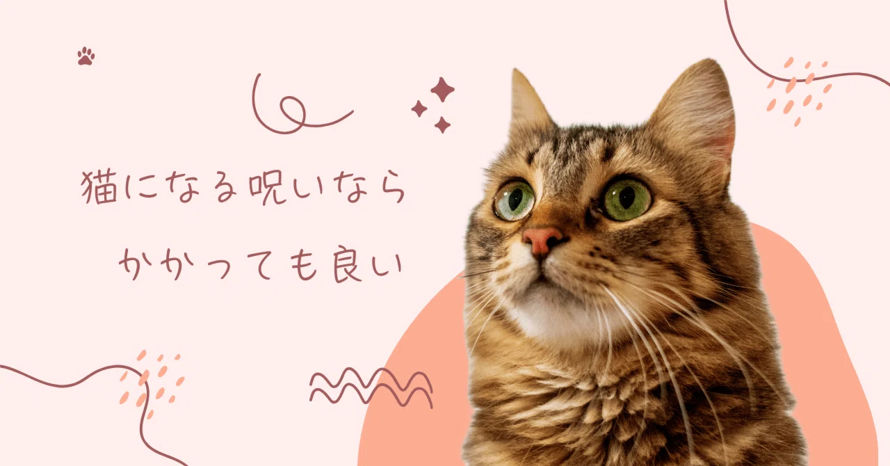 恋と深空】みなさん「猫」になりました｜くれは