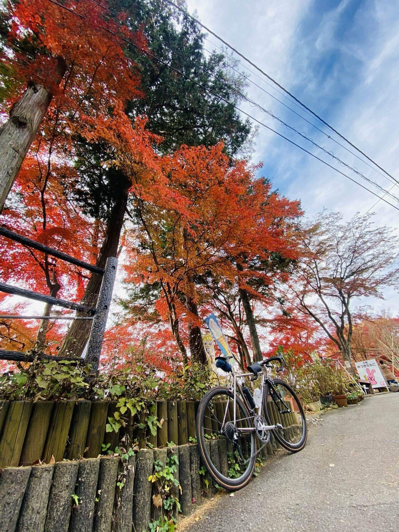 岩船山に行ってみた往路輪行サイクリング88km|西川正治 岩船山に行ってみた往路輪行サイクリング88km|西川正治