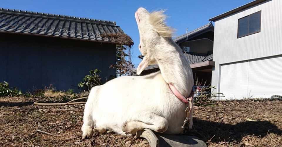 意識が高いと意識高い系では意味が全く違う イシコ Note