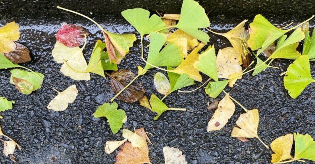 私と落ち葉との距離｜ナカソネ